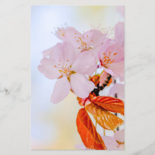Sakura - Japanische Kirschblüte Flyer
