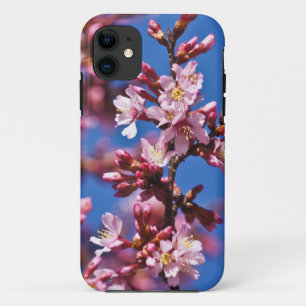 Sakura Japanische Kirschblüten Blauer Himmel iPhone 11 Hülle