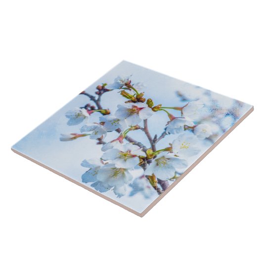 Sakura - Japanischer Kirschblossom Fliese (Seite)