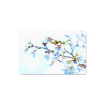 Sakura - Japanischer Kirschblossom