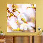 Sakura - Japanischer Kirschblossom Leinwanddruck (Insitu (Wohnzimmer))