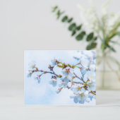 Sakura - Japanischer Kirschblossom Postkarte (Stehend Vorderseite)