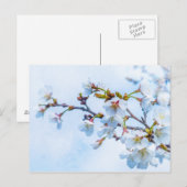 Sakura - Japanischer Kirschblossom Postkarte (Vorne/Hinten)