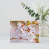 Sakura - Japanischer Kirschblossom Postkarte (Stehend Vorderseite)