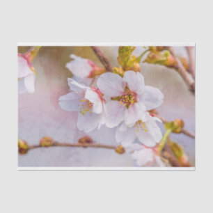 Sakura - Japanischer Kirschblossom Seidenpapier
