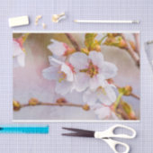 Sakura - Japanischer Kirschblossom Seidenpapier (Handwerk)