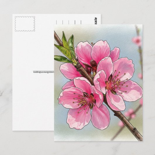 Sakura Kirschbaum Blühen Postkarte Postüberquerung (Vorne/Hinten)