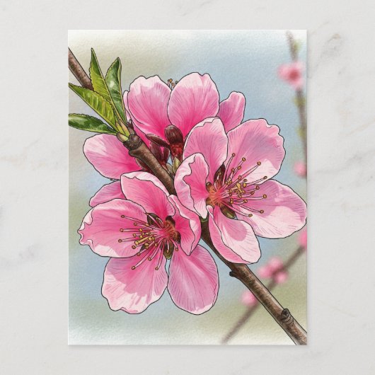 Sakura Kirschbaum Blühen Postkarte Postüberquerung (Vorderseite)