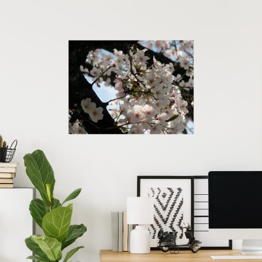 Sakura (Kirschblüte) Poster (Heimbüro)