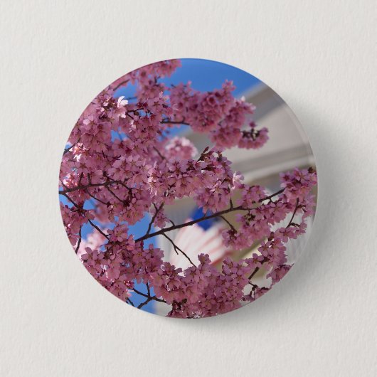 Sakura Kirschblüten Americana Button (Vorderseite)
