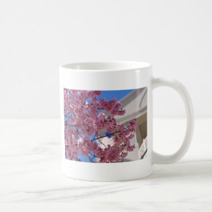 Sakura Kirschblüten Americana Kaffeetasse
