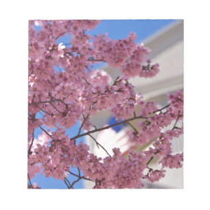 Sakura Kirschblüten Americana Notizblock