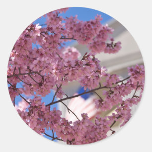 Sakura Kirschblüten Americana Runder Aufkleber