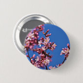 Sakura Kirschblüten berühren Blau Button (Vorne & Hinten)