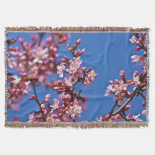Sakura Kirschblüten berühren Blau Decke