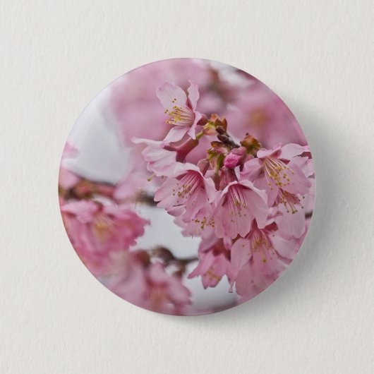 Sakura Kirschblüten Blassrosa Button (Vorderseite)