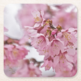 Sakura Kirschblüten Blassrosa Rechteckiger Pappuntersetzer