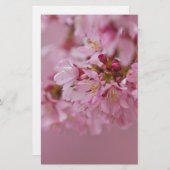 Sakura Kirschblüten Blassrosa Reflektionen Briefpapier (Vorne/Hinten)