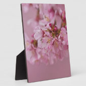 Sakura Kirschblüten Blassrosa Reflektionen Fotoplatte (Seite)