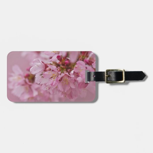 Sakura Kirschblüten Blassrosa Reflektionen Gepäckanhänger (Vorderseite horizontal)