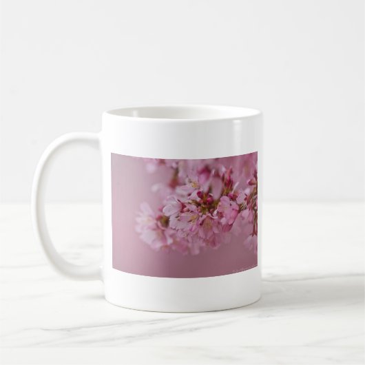 Sakura Kirschblüten Blassrosa Reflektionen Kaffeetasse (Links)