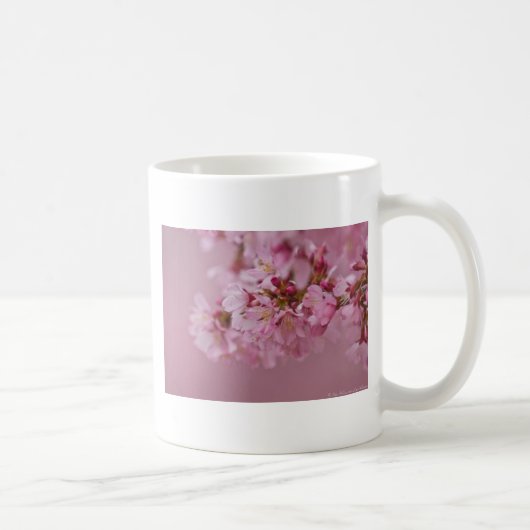Sakura Kirschblüten Blassrosa Reflektionen Kaffeetasse (Rechts)