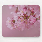Sakura Kirschblüten Blassrosa Reflektionen Mousepad (Vorne)