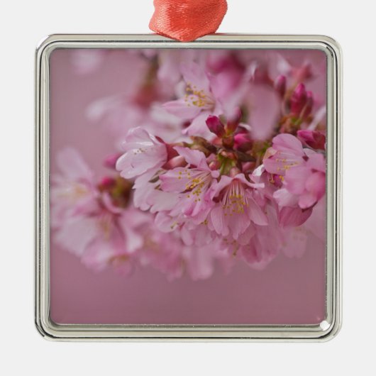 Sakura Kirschblüten Blassrosa Reflektionen Ornament Aus Metall (Vorne)