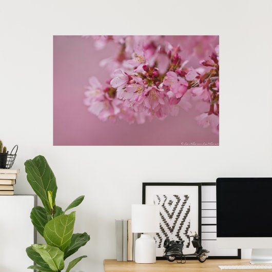 Sakura Kirschblüten Blassrosa Reflektionen Poster (Heimbüro)