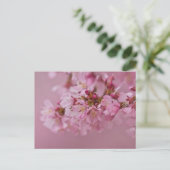 Sakura Kirschblüten Blassrosa Reflektionen Postkarte (Stehend Vorderseite)
