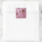 Sakura Kirschblüten Blassrosa Reflektionen Quadratischer Aufkleber (Tasche)