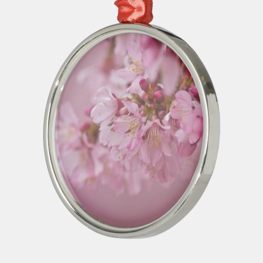 Sakura Kirschblüten Blassrosa Reflektionen Silbernes Ornament (Links)