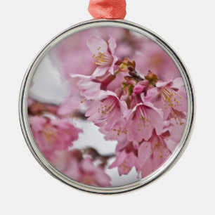 Sakura Kirschblüten Blassrosa Silbernes Ornament