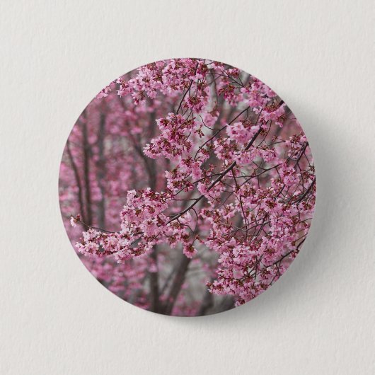 Sakura Kirschblüten Fließendes Rosa Button (Vorderseite)