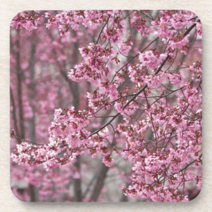 Sakura Kirschblüten Fließendes Rosa Getränkeuntersetzer