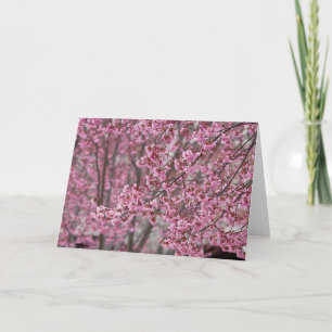 Sakura Kirschblüten Fließendes Rosa Karte