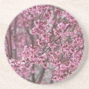 Sakura Kirschblüten Fließendes Rosa Sandstein Untersetzer