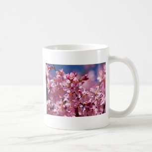 Sakura-Kirschblüten geküsst von Sonnenlicht Kaffeetasse