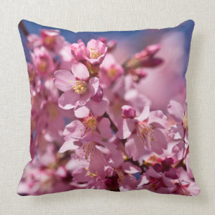 Sakura-Kirschblüten geküsst von Sonnenlicht Kissen