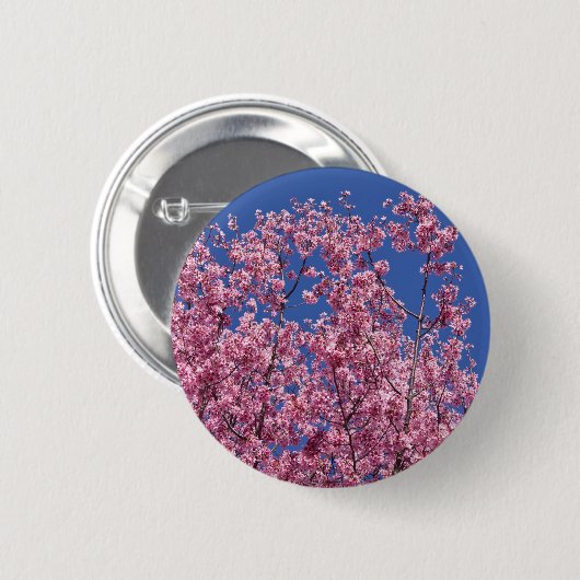 Sakura Kirschblüten im Blauen Button (Vorne & Hinten)