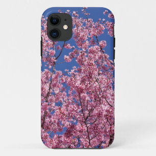 Sakura Kirschblüten im Blauen Case-Mate iPhone Hülle