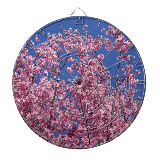 Sakura Kirschblüten im Blauen Dartscheibe (vorne)