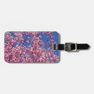 Sakura Kirschblüten im Blauen Gepäckanhänger