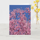 Sakura Kirschblüten im Blauen Karte (Gelbe Blume)