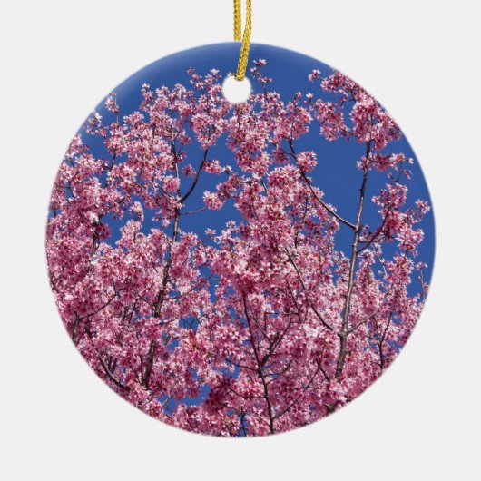 Sakura Kirschblüten im Blauen Keramikornament (Vorne)