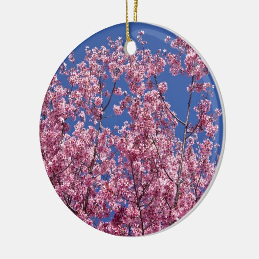 Sakura Kirschblüten im Blauen Keramikornament (Links)