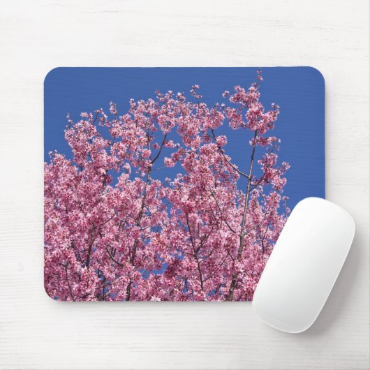 Sakura Kirschblüten im Blauen Mousepad (Mit Mouse)