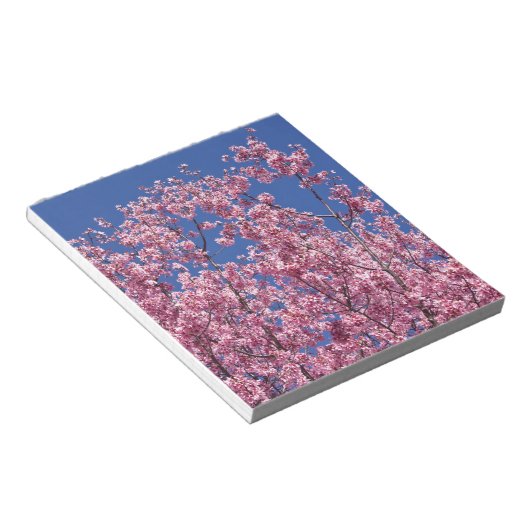 Sakura Kirschblüten im Blauen Notizblock (angewinkelt)