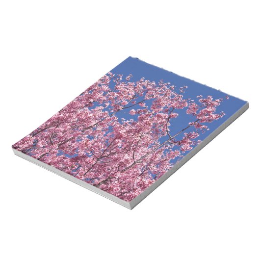 Sakura Kirschblüten im Blauen Notizblock (Rotiert)
