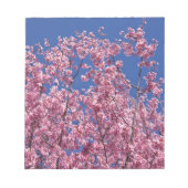 Sakura Kirschblüten im Blauen Notizblock (Vorderseite)